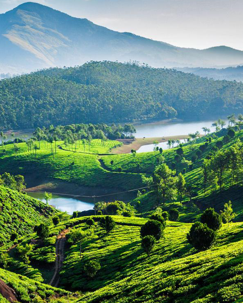 Gods own Country Kerala – 6 Nights / 7 Days