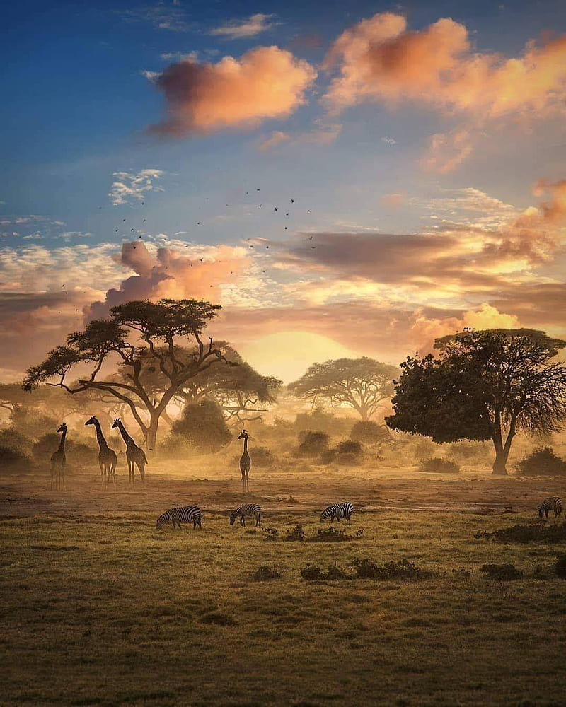 Enchanting Kenya – 5 Nights / 6 Days